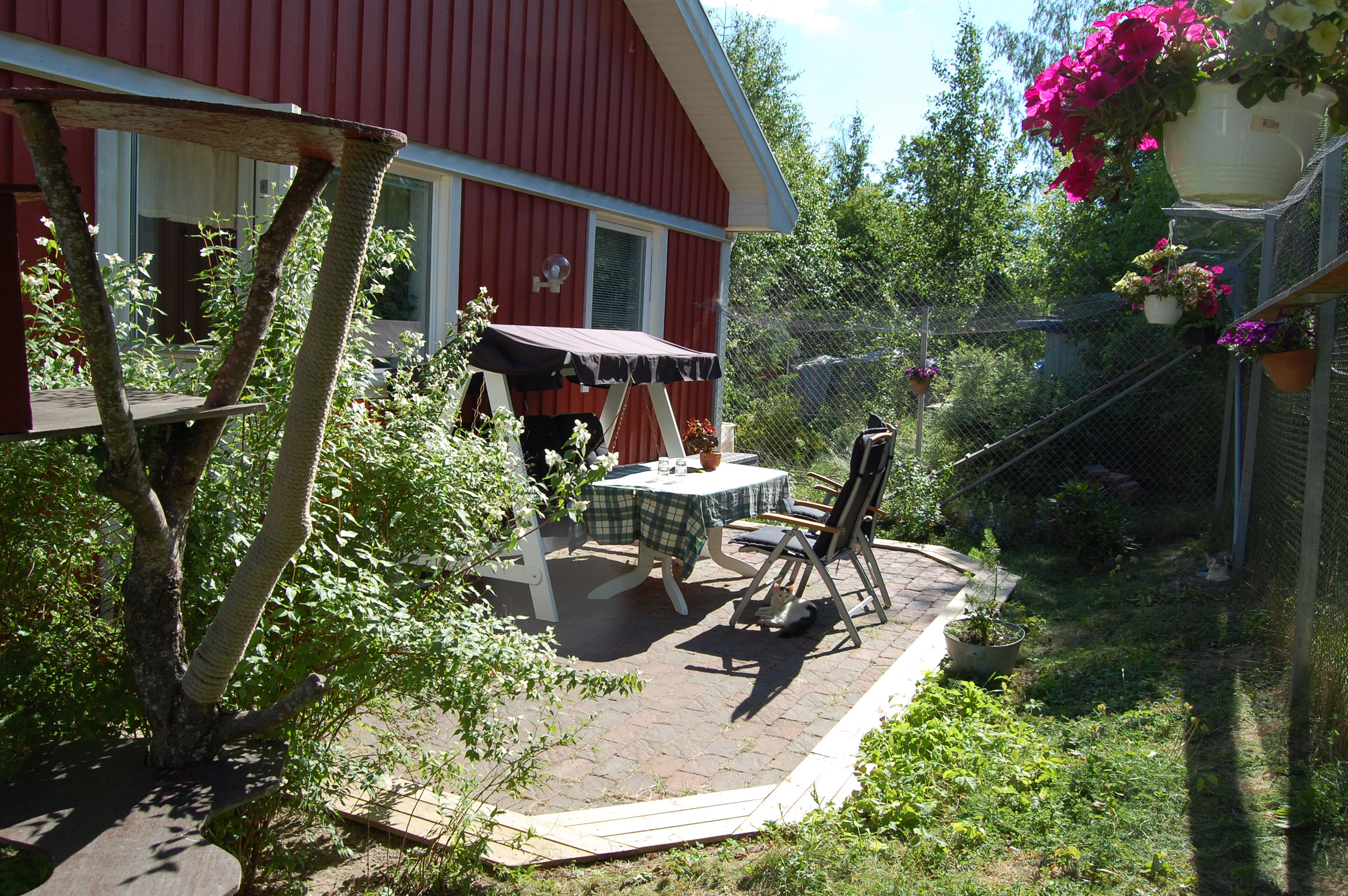 Kattgården