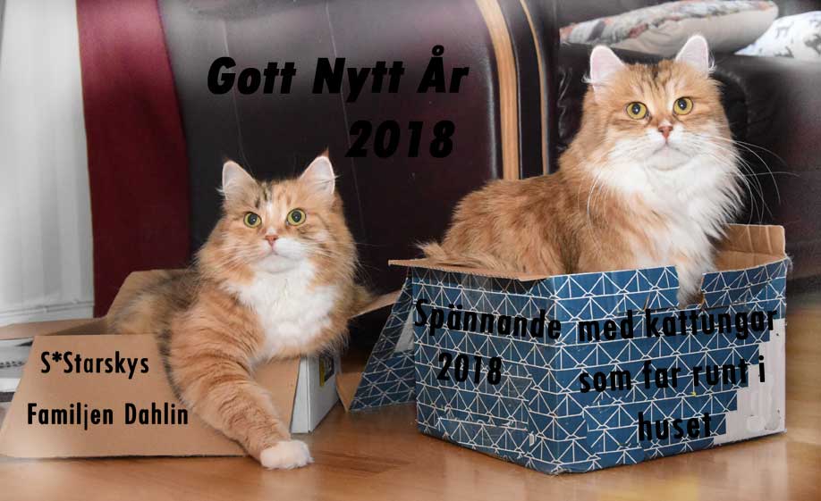 GOTT NYTT ÅR
