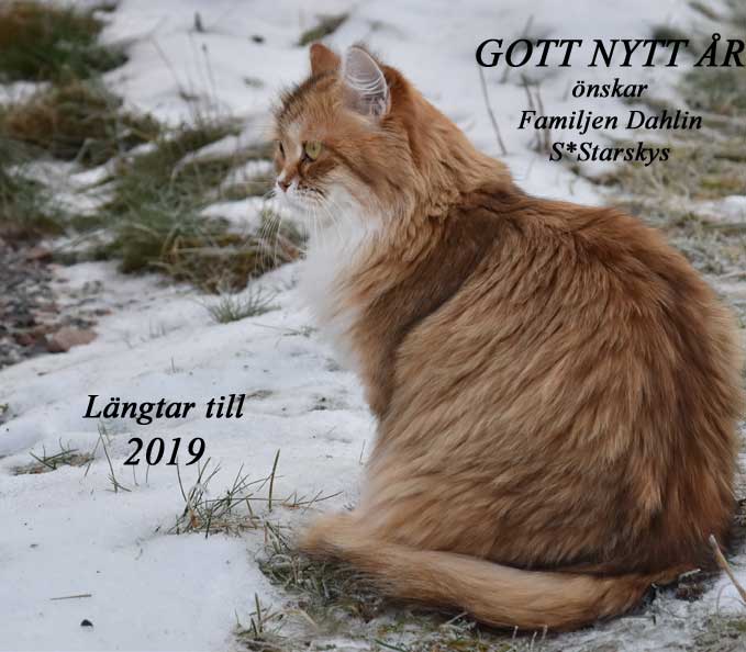 Gott Nytt År 2018