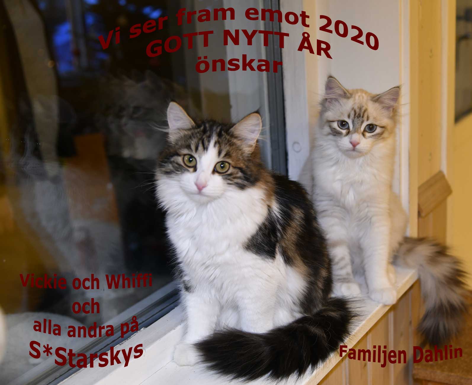 Gott Nytt År Starskys