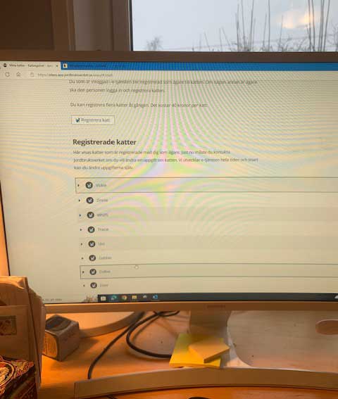 Registrering av katt