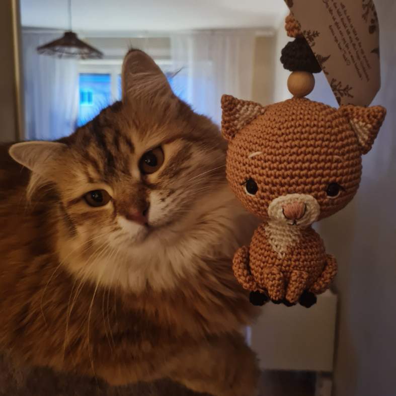 Sibirisk katt Florentina