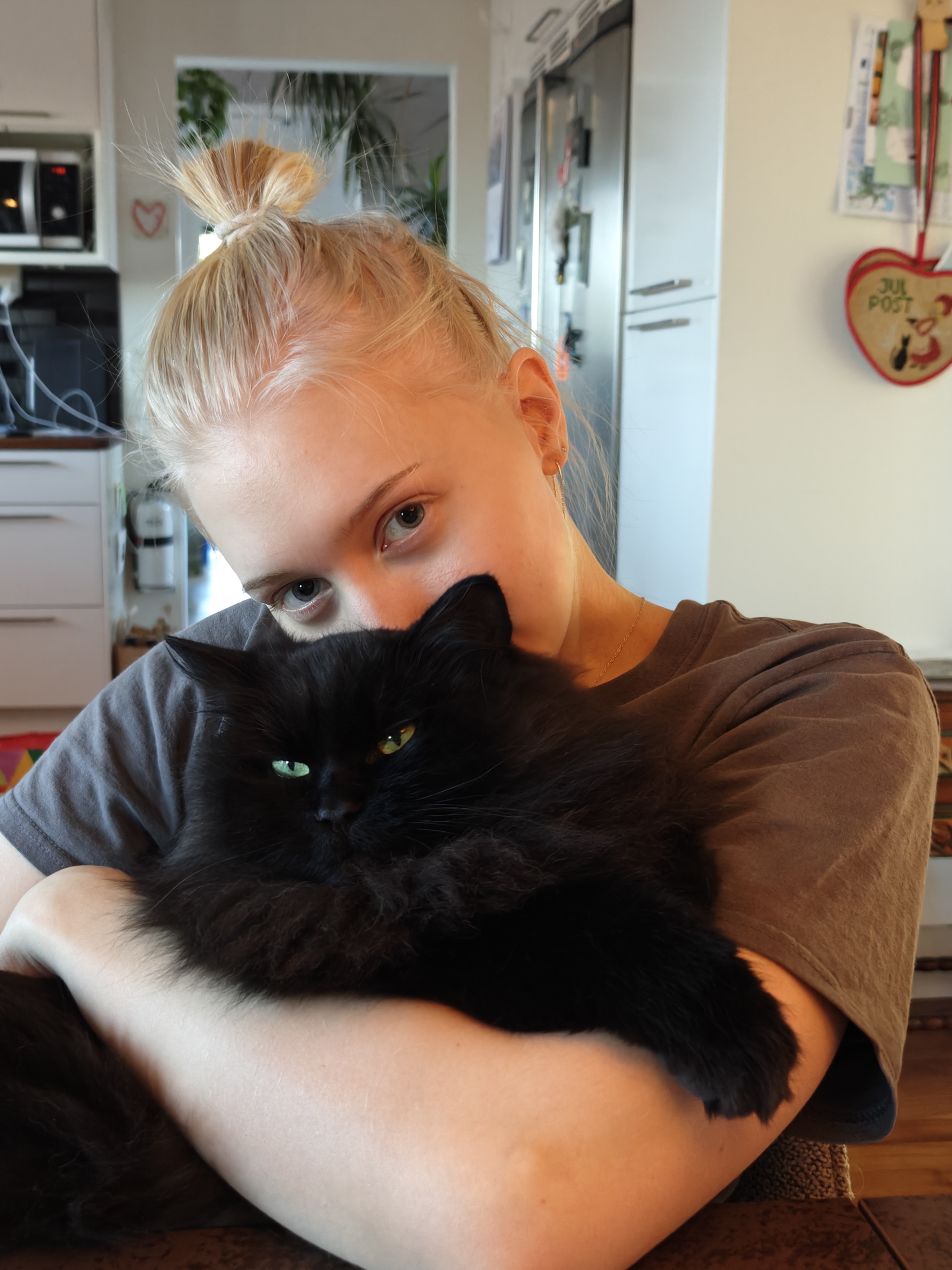 Sibirisk katt Wisw