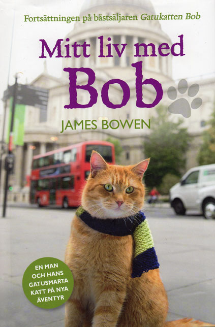 Kattbok