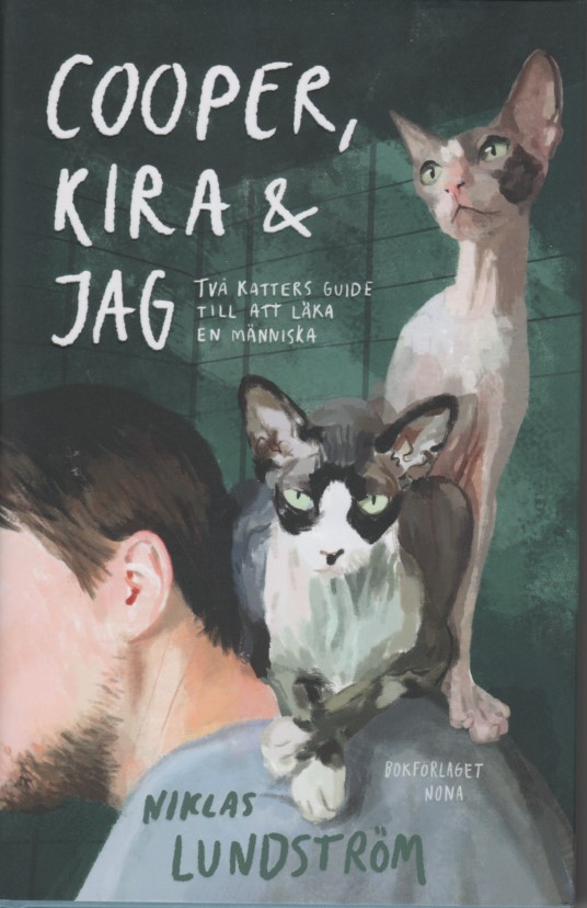 Kattbok