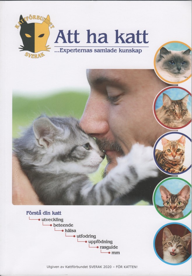 Sverak att ha katt